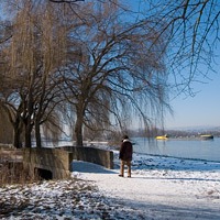 Winter in Rheinhessen